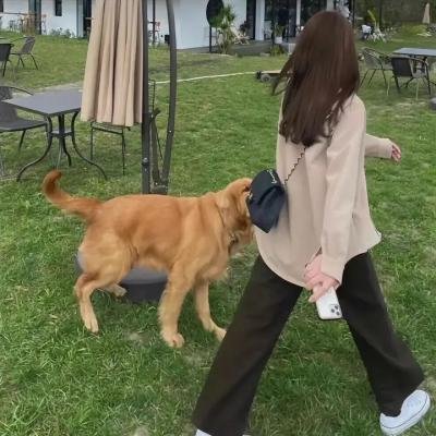 奥兰多·布鲁姆：边缘行走